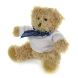 BEAR WITH DRESSED T-SHIRT